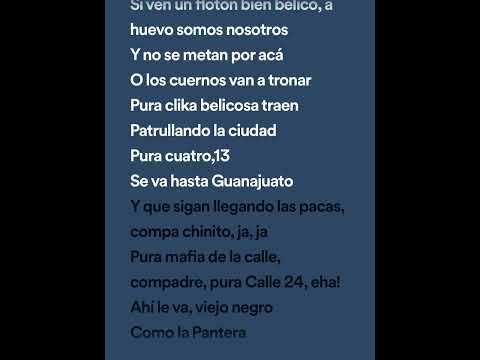 Chino Pacas Ft. Calle 24 - Negro Como La Pantera (Letra/Lyrics)