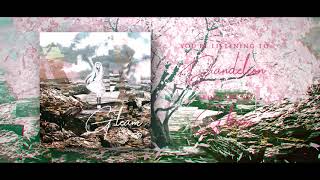 Cover art for Dandelion