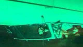 VALIS HEAD FULL OF PILLS - Screaming Trees - Van Conner