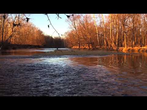Flowing River Sound Relaxing Nature Video Sleep/Relax/Study/Meditate - 20 minutes - HD 1080p