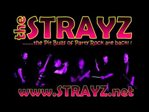 THE STRAYZ-HOLD ON IM COMIN.mpg