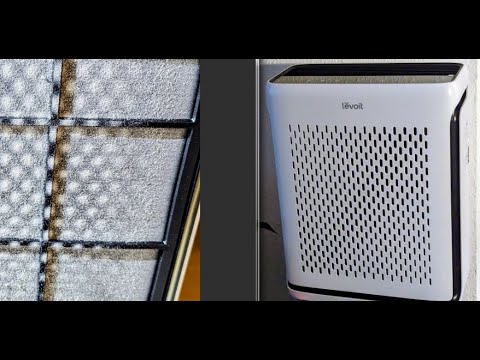 LEVOIT HEPA Luftreiniger Vital 100S Tiermodus Air Cleaner Filter höchste Stufe 4