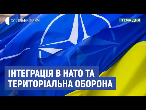 Інтеграція в НАТО та територіальна оборона| Тема дня | Тарас Чмут, Андрій Кобзарь