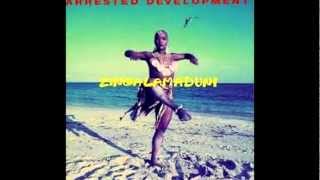 Arrested Development In The Sunshine - Zingalamaduni