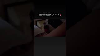 犬あるある　乾燥してることろ保湿してくれる #ボストンテリア