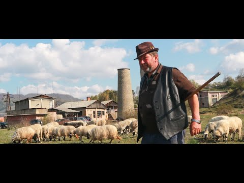 O ZI CU PRIETENUL IONICA TELEANCA LA OI!