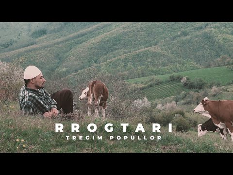 Tregim Popullor - Rrogtari (Official Video 4K)