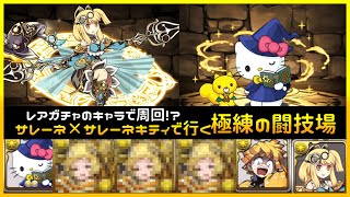 サレーネ×サレーネキティ　極練の闘技場　平均3分半　12ターン