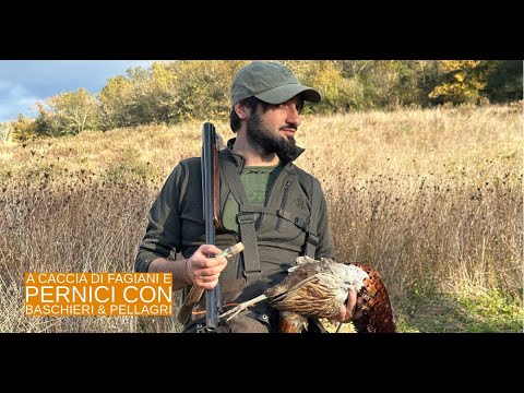 baschieri-pellagri: Caccia e cinofilia: fagiani e pernici con Baschieri & Pellagri
