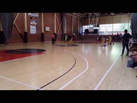 CB Grup Barna Mini 1 #9 Dunk