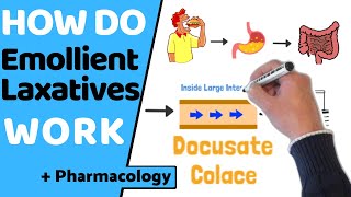 How do Emollient Laxatives Work  (Stool Softeners)