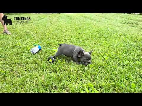 Video 2