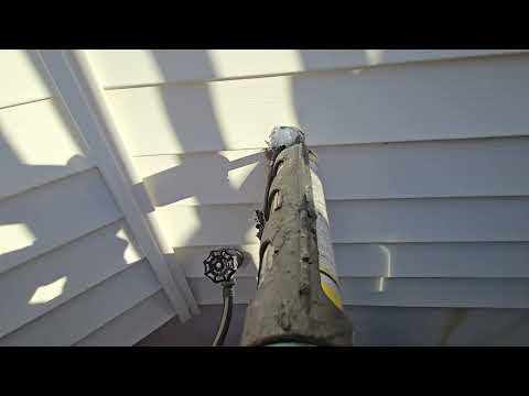 Preventing a Rodent Intrusion in Middletown,...