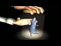 Ratatouille No