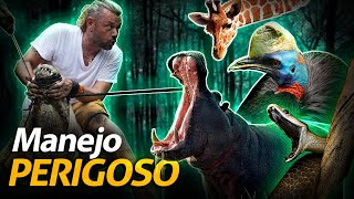Miniatura do vídeo