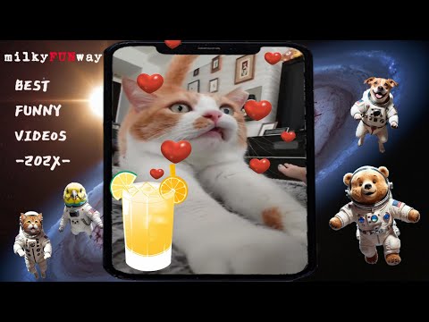 Funniest Cats Ever 😹 | Try Not to Laugh Challenge 2 #MilkyFUNway