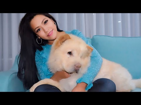 Un viaje con su ESPOSO terminó en su ASESlNATO | RESUELTO