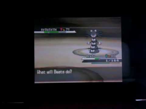 A Bug in the System: Pokemon White Glitch