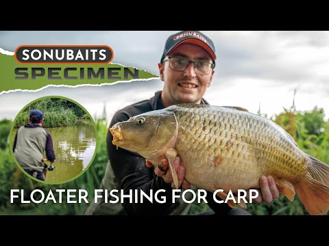 Surface Fishing For Carp... | Harry Pardoe