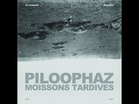 PILOOPHAZ / MONKEY THEOREM - Tout va bien, je vais mal (2012)