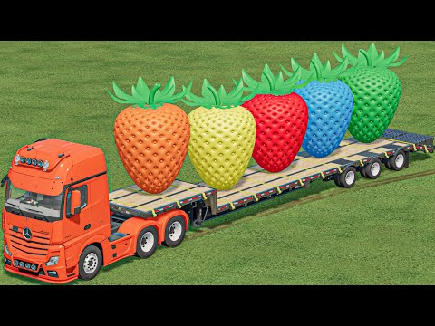 Transport Of Colors ! Giant Strawberry Transporting With Mini Tractors - Farming Simulator 22