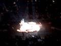 Circus In Austin 1