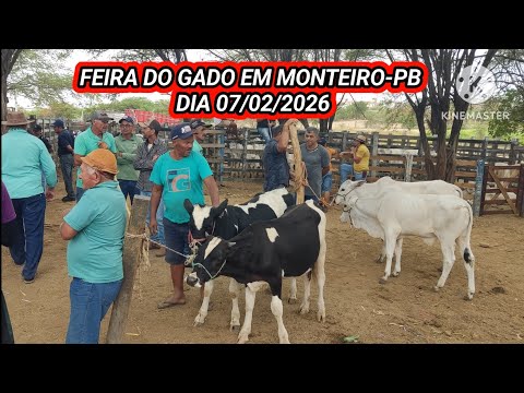 Feira do Gado de Monteiro-PB dia 07/02/26