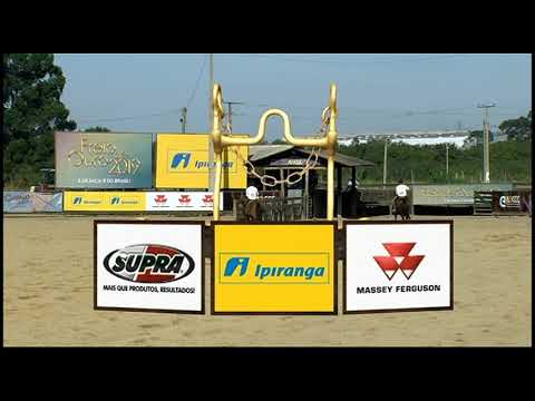 Classificatória Gaúcha - 8º lugar machos  (Campo II)