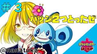 【ポケットモンスターソードシールド】＃３ワイルドエリアはホントにワイルド