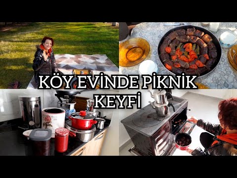 BAHÇEDE SERAPLA PİKNİK KEYFİ🏡İŞLERE DEVAM👍#köyevi #bahçe#piknik