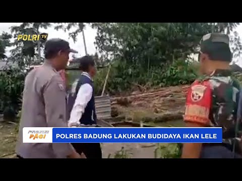 BERSAMA TNI POLRES BADUNG BUDIDAYA IKAN LELE DUKUNG KETAHANAN PANGAN