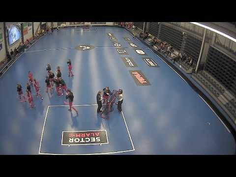 D-tytöt  19.1.2019 AutoCenter Areena, Tampere. Länsirannikko/ sisä-Suomi, Lohko A