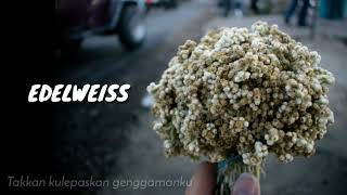 Edelweiss Music Video