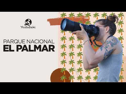 Parque Nacional El Palmar - Colón - Entre Ríos