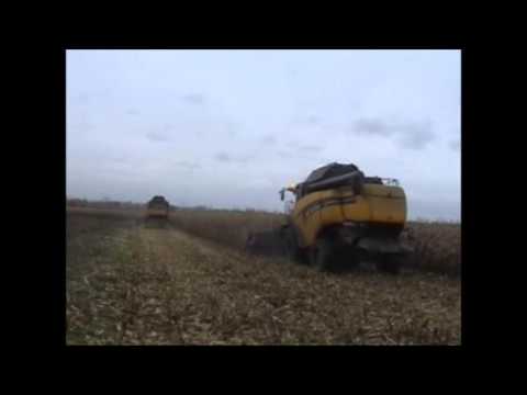 Gobin + Van Slambrouck: Mais dorsen.