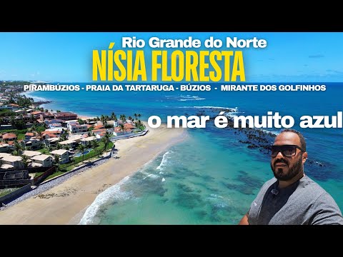 NÍSIA FLORESTA - RN - PRAIA DE PIRAMBÚZIOS - PRAIA DA TARTARUGA  - BÚZIOS - MIRANTE DOS GOLFINHOS 