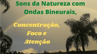 Sons da Natureza com Ondas Binaurais, Concentração, Foco e Atenção