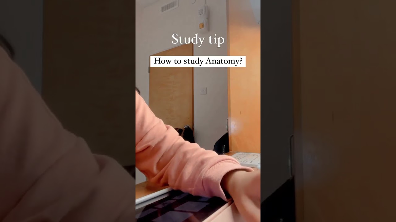 How to study Anatomy?