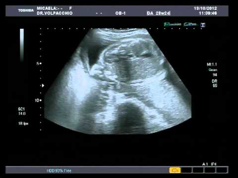 FACUNDO. Sábado 13 de octubre de 2012.