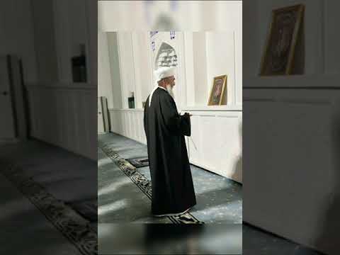 YASIR MAVZEROGLU- Gavsimin Cübbesi