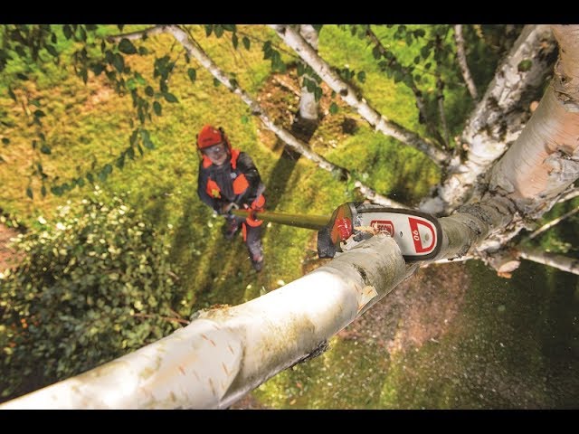 Video teaser for Oregon PS250 Pole Saw Demo