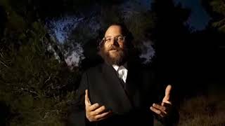 צעקה הנערה, חיזוק | הרב צבי חלמיש שליט"א