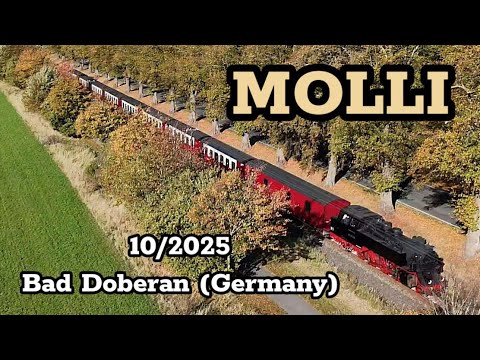 𝐌𝐎𝐋𝐋𝐈 – 𝐭𝐡𝐞 𝐬𝐭𝐞𝐚𝐦𝐢𝐧𝐠 𝐧𝐚𝐫𝐫𝐨𝐰-𝐠𝐚𝐮𝐠𝐞 𝐫𝐚𝐢𝐥𝐰𝐚𝐲 𝐢𝐧 𝐎𝐜𝐭𝐨𝐛𝐞𝐫 𝟐𝟎𝟐𝟓