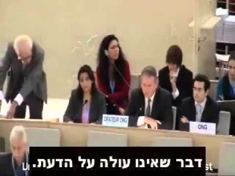 ישראל זוכה לתמיכה בלתי צפויה באו"ם