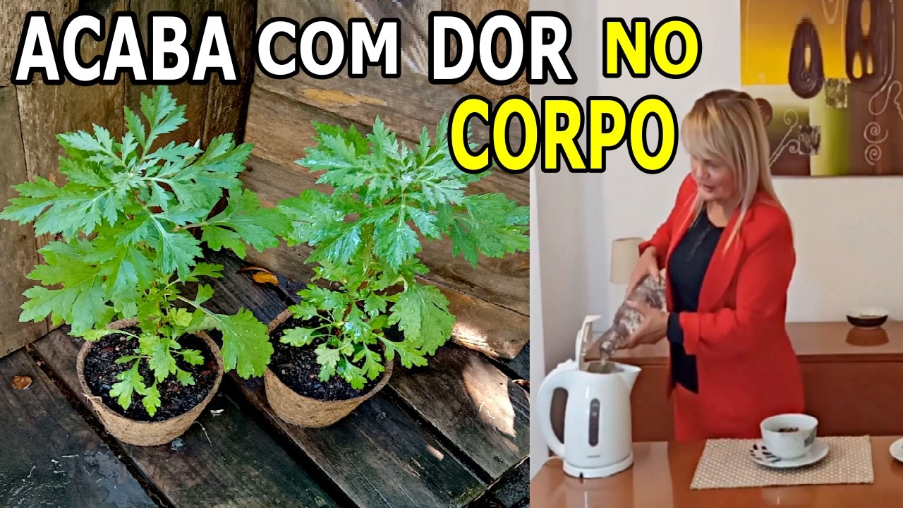 Dores Musculares, nas Articulações, nos Ossos, de Cabeça e Inflamações 💖 MARILENE SARAH FIALHO