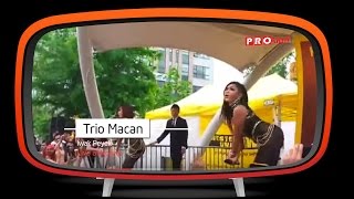 Download lagu Trio Macan - Iwak Peyek (Live Performance in Korea) mp3 Download lagu Trio Macan - Iwak Peyek (Live Performance in Korea) mp3