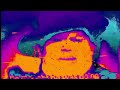 Waste | Front 242