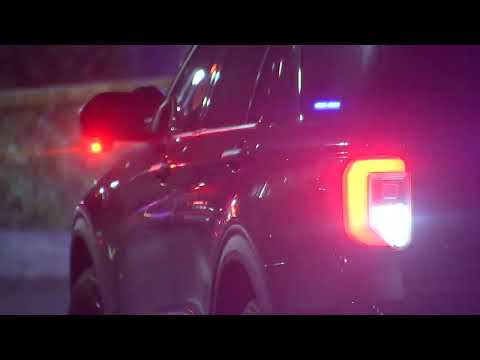 Trenton Stabbing Investigation