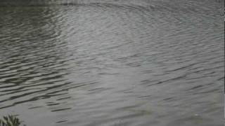 ♥ "The Closest Thing to Crazy" ♫ instrumental