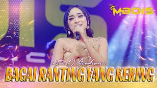 Download lagu BAGAI RANTING YANG KERING - Intan DA2 Ft. Mbois Music Live Camplong Sampang mp3